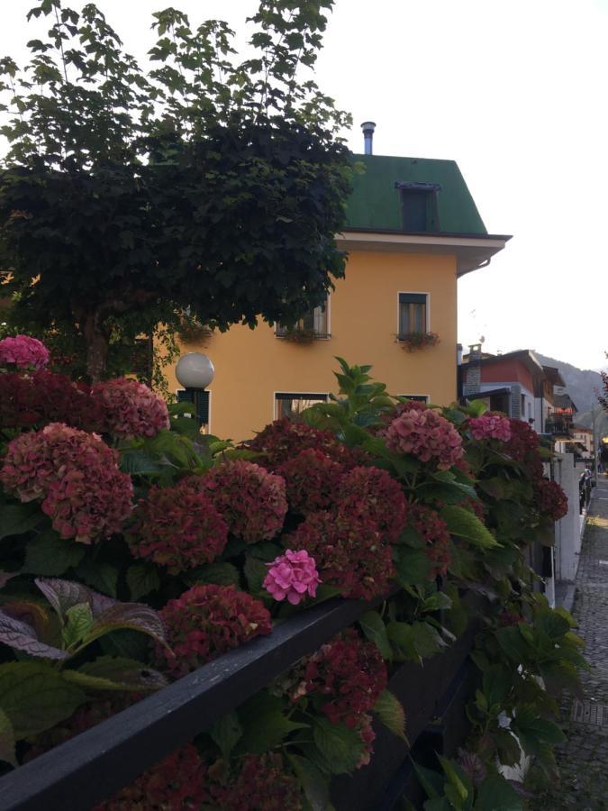 Residenza La Ciasa Apart otel Claut Dış mekan fotoğraf